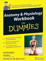 Anatomy & Physiology Workbook for Dummies – Janet Rae-Dupree, Pat DuPree [PDF] [English]
