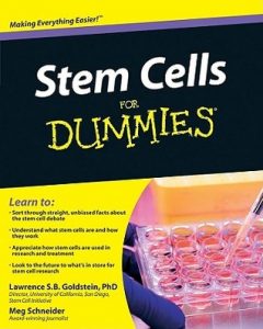 Stem Cells for Dummies – Lawrence S. B. Goldstein, Meg Schneider [PDF] [English]