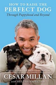 How to Raise the Perfect Dog: Through Puppyhood and Beyond – Cesar Millan [ePub & Kindle]