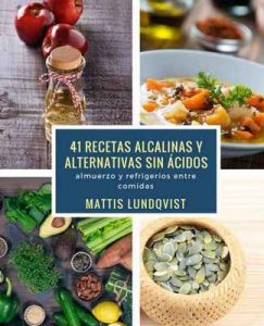 41 recetas alcalinas y alternativas sin ácidos: almuerzo y refrigerios entre comidas – Mattis Lundqvist [ePub & Kindle]