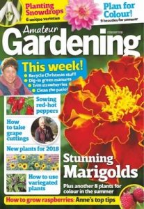 Amateur Gardening – January 6, 2018 [PDF]