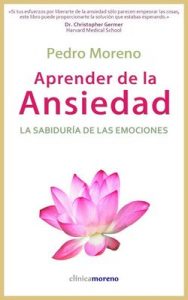 Aprender de la ansiedad: La sabiduría de las emociones (Serendipity) – Pedro Moreno Gil [ePub & Kindle]