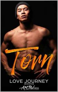 Torn – Love Journey, AMBW Press [ePub & Kindle] [English]