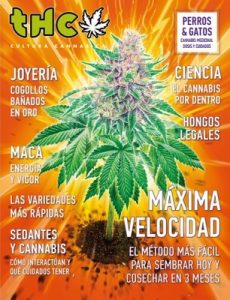 Revista THC – Junio, 2019 [PDF]