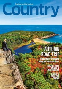 Country – October-November, 2020 [PDF]