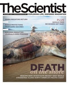 The Scientist – November, 2020 [PDF]