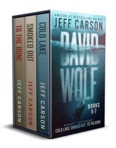 The David Wolf Mystery Thriller Series: Books 5-7 (The David Wolf Series Box Set Book 2) – Jeff Carson [ePub & Kindle] [English]