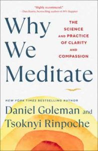 Why We Meditate: The Science and Practice of Clarity and Compassion – Daniel Goleman, Tsoknyi Rinpoche [ePub & Kindle] [English]