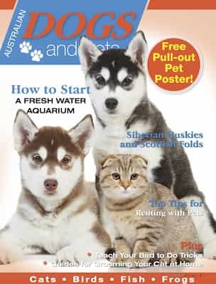 Dogs and Pets – Issue 9, 2025 [PDF]