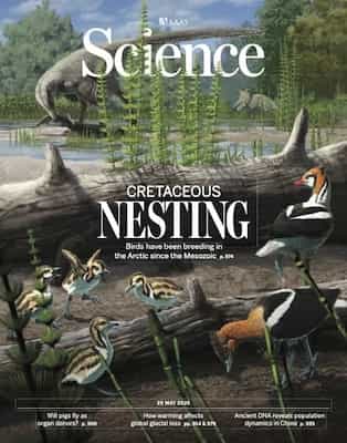 Science – 29 May, 2025 [PDF]