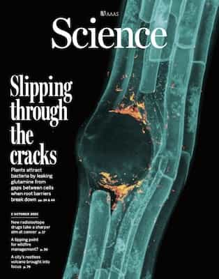 Science – 2 October, 2025 [PDF]