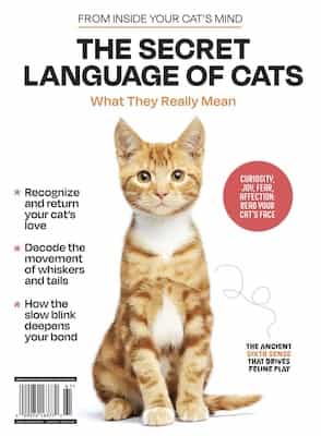 Inside Your Cat’s Mind – The Secret Language Of Cats, 2025 [PDF]