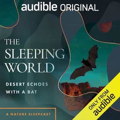 The Sleeping World: Desert Echoes with a Bat – Mumble Media, Audible Sleep [Narrado por Cynthia Kimola]