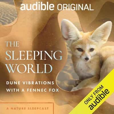 The Sleeping World: Dune Vibrations with a Fennec Fox – Mumble Media, Audible Sleep [Narrado por Cynthia Kimola]