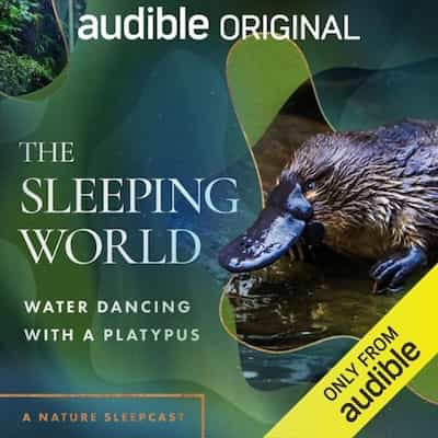 The Sleeping World: Water Dancing with a Platypus – Mumble Media, Audible Sleep [Narrado por Cynthia Kimola]