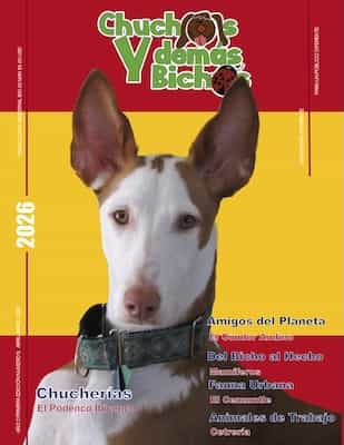 Chuchos y Demas Bichos – Abril/Mayo, 2026 [PDF]